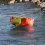 life raft starting to automatically inflate